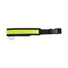 Equisafety Reflective LED Flashing Dog Collar - Yellow - Dog