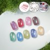 From the Nail Picnic Magnet Gel + 30 parts /