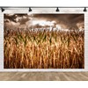 Loccor 7x5ft Fabric Spooky Corn Field Backdrop Fall Corn Field