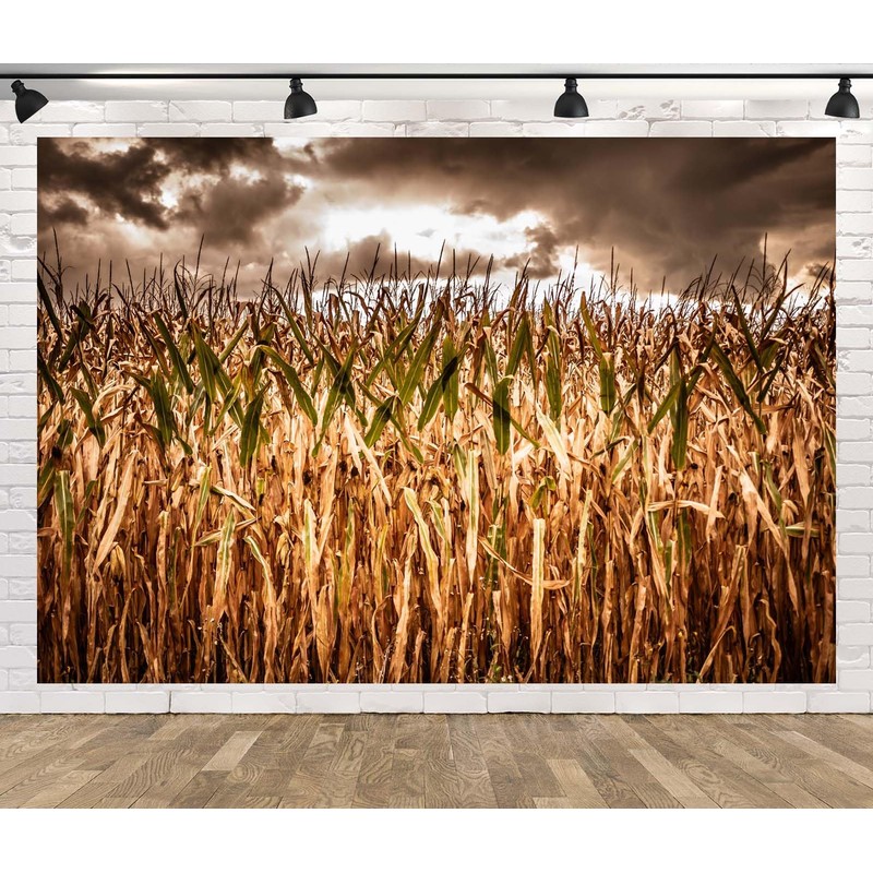Loccor 7x5ft Fabric Spooky Corn Field Backdrop Fall Corn Field