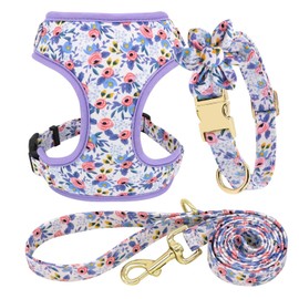 Beirui Cute Girl Dog Collars, Harnesses & Leashes Set - Adjustable Dog Collar and Leash Set with Flower - Soft Mesh Dog Vest Harness for Puppies Small Medium Dogs (Blue,S)