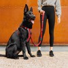 EZYDOG X-Link Harness | Dog Harness, Small, Medium, Large, K9