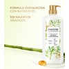 Pantene Essential Botanicals Shampoo Fortalecedor, 1.19 L