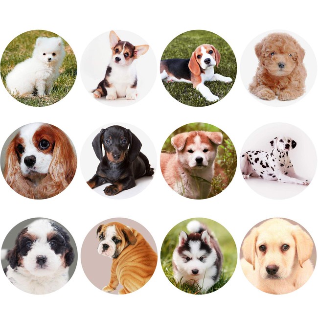 300 Pieces Dog Stickers 1.5 Inch Puppy Stickers Adorable Labels for Kids Birthday Party Favors, Classroom Reward, Scrapbooking (12 Designs)