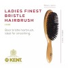 Kent LC22 Finest Hair Brushes for Women Detangler Dry Brush