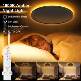 BIAOQINBO LED Ceiling Light Flat Dimmable 24 W Ceiling Light with Night Light Remote Control & Timer, 3000 ~ 6500 K Ultra Thin Round Lamp for Living Room Bedroom Bathroom Children's Room Kitchen