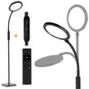 RICIAL 2-in-1 Light Therapy Lamp – Sun Lamp with 4