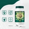 NutraVibe Synaptigen Capsules – Daily Support for Focus, Clarity, Recall