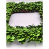 Tradingsmith Preserved Boxwood Square Wreath - 17"