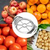 Stainless Steel Apple Slicer - Professional Apple Cutter - Stainless