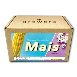 growbro Corn Propagation Set, Garden Explorer Set, Researcher Children, Discover Nature, Gift for Children, Children's Birthday Party
