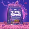 Applied Nutrition Creatine Gummies