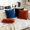 MIULEE Pack of 2 Decorative Velvet Throw Pillow Covers Soft