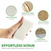 AIRNEX Biodegradable Natural Kitchen Sponge - Compostable Cellulose and Coconut
