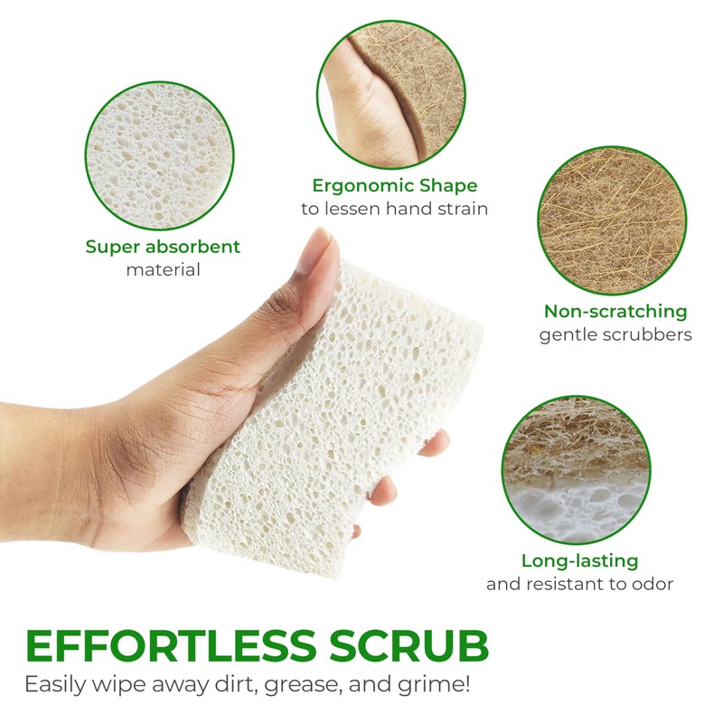 AIRNEX Biodegradable Natural Kitchen Sponge - Compostable Cellulose and Coconut