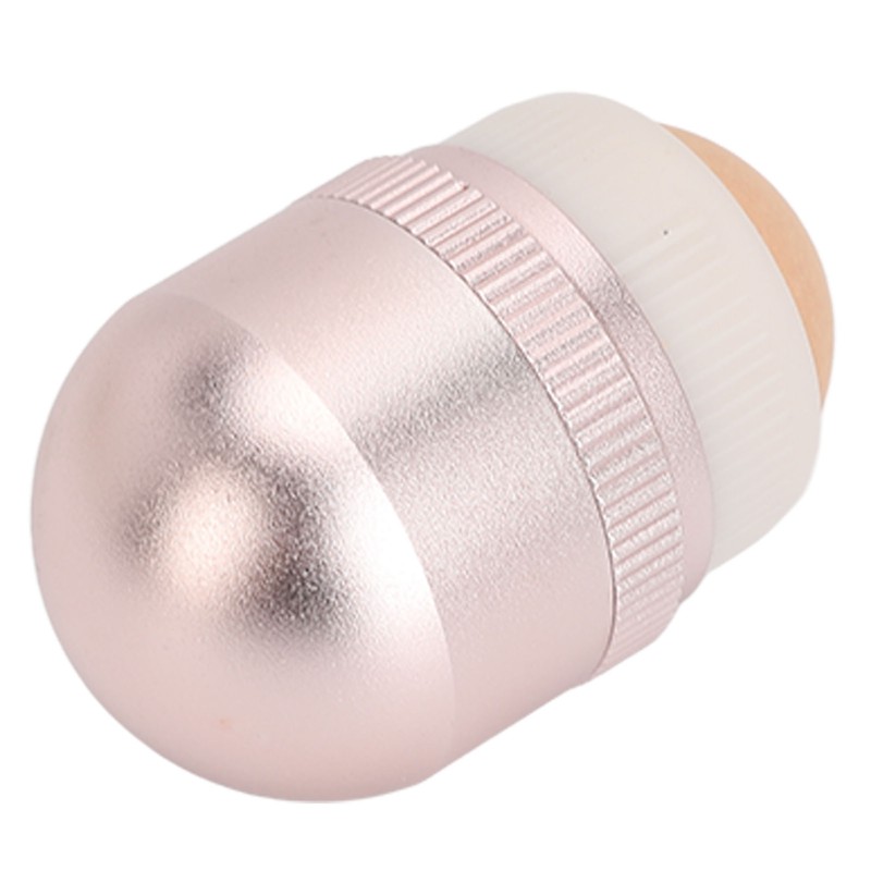Oil Absorbing Face Roller for Oily Skin Care Egg Shape