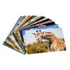 BEST PAPER GREETINGS 40 Pack Around the World Postcards Bulk