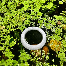 Aquarium Portal Viewer Fish Tank Feeding Ring CTWPets (2x Small)