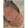 Milo, Red Sorghum 25 lb