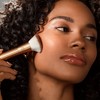 EcoTools Precious Metals Face Blend & Sculpt Set, Makeup Brush