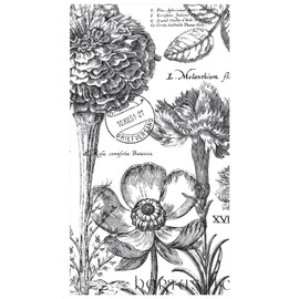 Michel Design Works 15-Count 3-Ply Paper Hostess Napkins, Flower Noir