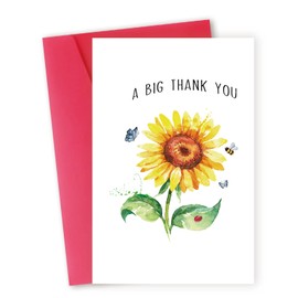 Hongshan Thank You Cards,Thank You Cards with Envelopes,Thank You Notes Cards for Teacher, Graduation, Business,Thank You Gifts for Him Her Women Men,Happy Appreciation Card