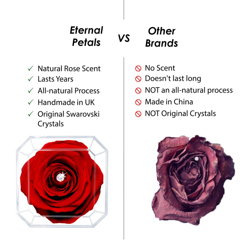 A 100% Real Rose That Lasts Years - Eternal Petals,