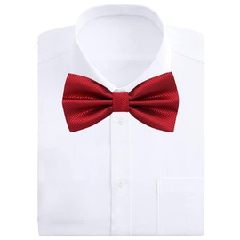 EHIOG Fliege Herren, Fliege Herren Klassisch Verstellbar, Formale klassische vorgebundene Fliege, Bräutigam Blumenmädchen Hochzeit Abend Kostüm Zubehör (Rote Kiste)