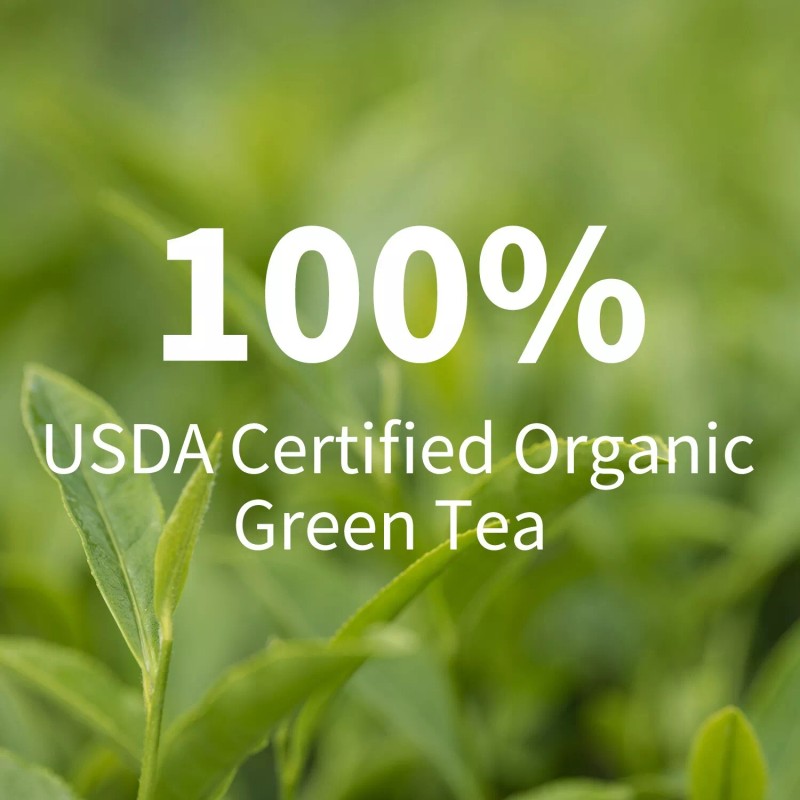 GANOHERB Organic Reishi Green Tea bags, 20 Counts