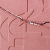 TWOSLASHFOUR TWO SLASH FOUR All Over Face Blush 5.5g -