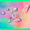 Chasing Rabbits Magic Beauty Shroom | Tremella híbrido 100% esencia