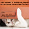 adimmobilize Cat Scratch Deterrent Tape - Anti-Scratch Cat Training Tape