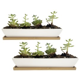 WISH HALLY WOOD White Ceramic Succulent Planter Pots,2 Set of 11inch Long Rectangle Flower Plant Containers with Bamboo Saucers.