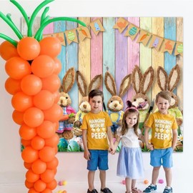 ZJRBJB Easter Backdrops for Photoshoot Rabbit Eggs Photography Backdrop Colorful Wooden Wall Background Birthday Party Baby Shower Backdrop Decorations Photo Booth Props 10x8ft