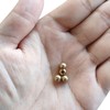 PATIKIL M3 x 0.5 Thread 5 Pack Cap Nuts Button