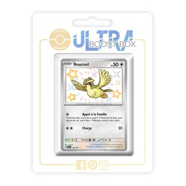 my-booster Pokémon Company SV045-FR24-UB-196, Multi-Colour