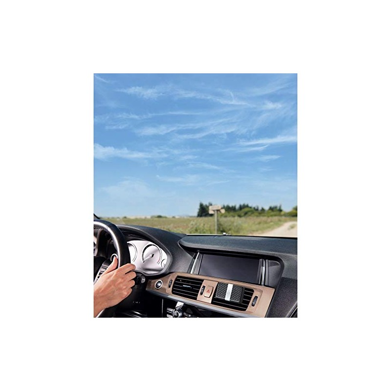 Esteban Amber Scented Refillable Car Air Freshener