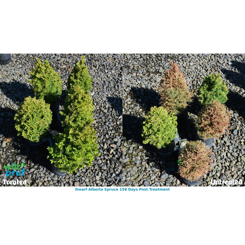 Wilt-Pruf® Concentrate | Organic Plant Protector | Professional-Grade Moisture Retention