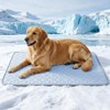 HOBBTREE Dog Cooling Mat, Waterproof Cooling Pads for Dogs &