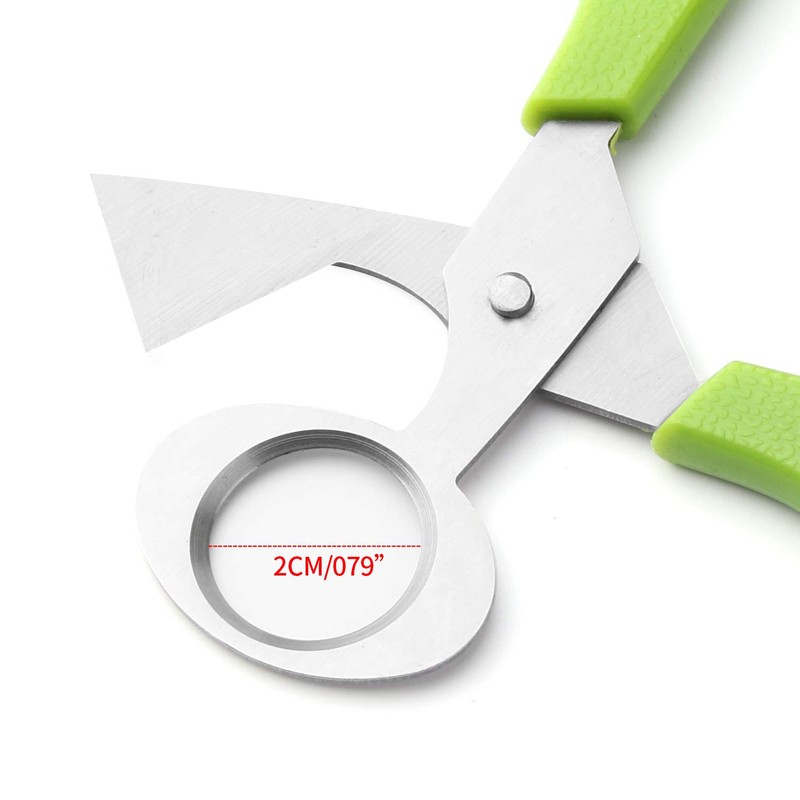 6Pcs Quail Egg Cutter Scissors Kitchen Egg Shears Tool (Green)