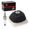 Air Filter Element Assembly & Spark Plug For YAMAHA TTR125
