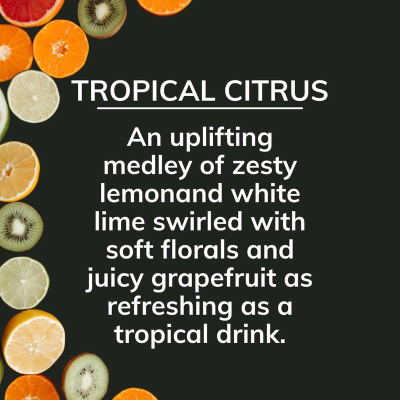 Citrus Magic On The Go Odor Absorbing Solid Air Freshener,