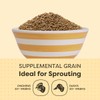 Scratch and Peck Whole Barley Chicken, Duck and Livestock Supplemental
