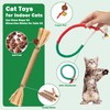 4Pcs Cat Chew Toys | 2 Silvervine Sticks & 2