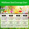 NatureZ Edge Wildflower Seeds Mix – 2 Oz, 85,000 Seeds,