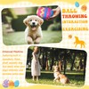 Glimin 10 Pcs Easter Dog Toys Bulk Easter Egg Plush