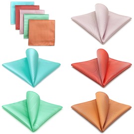 SHLAX&WING 5 Pieces Assorted Mens Silk Pocket Square Handkerchiefs Set (Set57)