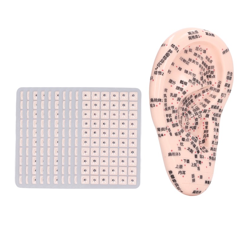 17cm Ear Point Probe 600pcs Auricular Patches Silicone Ear Model
