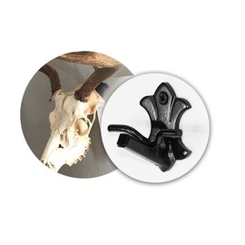 Skull Bracket Buck European Trophy Mount - Holds Over 100 lbs - Taxidermy Mount Skull Hanger Kit Perfect for Whitetail & Mule Deer, Antelope, Black Bear, Hog and Other Small & Medium Game Mounts