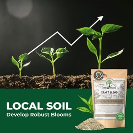 BuildASoil Fertilizer for Vegetable Garden and Organic Plant Food | Hand-Crafted Organic Fertilizer with 15 Premium Ingredients | Ensures Larger Plants and More Fragrant Flowers (3 LB - Small Bag)